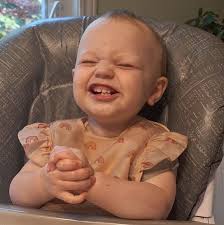 Puree smoothness enhancers for single food purees