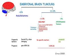 Over 21,270 new cases of meningioma will be diagnosed. Annie Huang Md Phd Frcp C Pediatric Brain Tumor Program Ppt Download