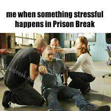 Prisonbreak Prisonbreakmemes Michaelscofield Wentworthmiller Sarahwaynecallies Dominicpurcell Burrows Memes Prison Break Prison Break 3 Prison