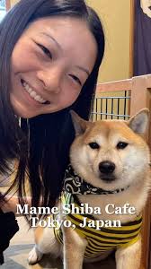 📍: Mame Shiba Cafe Harajuku , Tokyo, Japan