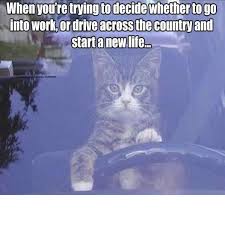 Ive Had It With Hip H Funny Memes About Work Work Humor Funny Pictures