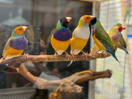 Doris Ettlinger Studio added a...