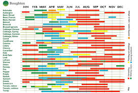 unusual vegetable sowing chart uk texas vegetable planting