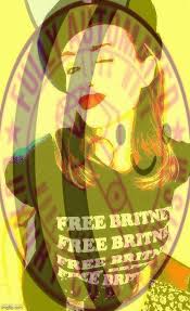 The movement became popular in 2019. I Do Not Know If We Have The Power To Free Britney But If We Do We Will Imgflip