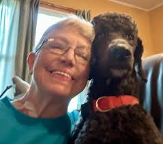 Snooze time for Apollo ❤️🐾😴