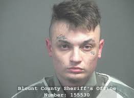 SUTTLES, DYLAN TYLER Charges: VIOLATION OF PROBATION This information and  more is available https://apps.myocv.com/share/a95737804