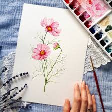 Noviembre Va A Ser Un Mes Especial En El Jardin Acuarela Watercolor Cosmos Watercolorfloral Watercolor Flowers Flower Painting Flower Art