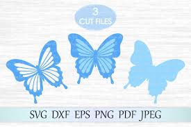Download Pin On Free Svg Design Yellowimages Mockups