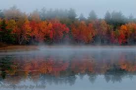 Image result for Autumn Mist 1961 GM