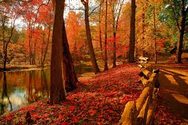 Resultado de imagen de Otoño