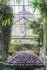 New York S Crystal Palace The Enid A Haupt Botanical Garden New York Botanical Gardens Ny Botanical Garden
