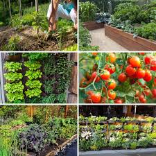Gardening for people with disabilities. 13 Gardening Techniques To Achieve A 500 Bigger Harvest Diy Crafts