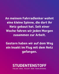 Symbiose Studentenstoff Spinne Symbiose Fahrrad Spinnennetz Zusammenarbeit Studentenleben Hochschule Studieren Studentenleben Student Universitat