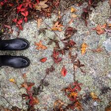 Autumn Plant Walk-Botanical Skeletons — Boheme Botanika