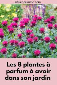 8 Types De Plantes Tres Jolies Et Qui Parfument Votre Jardin Jardins Jardinage Potager Planter Des Fleurs
