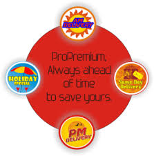 The Professional Couriers Pro Premium Services