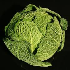 Image result for hlávková kapusta