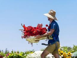 The charm itself has the vague shape of the scythe. Full Bloom On Hbo The New Floral Hit Article On Thursd
