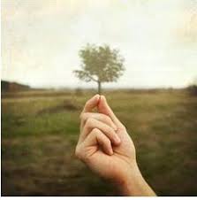 Kingdom of Heaven: Mustard Seed Faith — Secret Seed Words #7