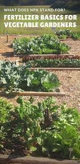 Check spelling or type a new query. What Does Npk Stand For And Other Fertilizer Basics Organic Vegetable Garden Fall Vegetable Garden Vegetable Garden Planner