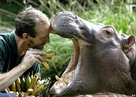Dispenser les soins quotidiens de base aux animaux dont vous avez la responsabilité, les présenter au public, nettoyer les cages et enclos. Soigneur Animalier Formation Emploi Guide Complet