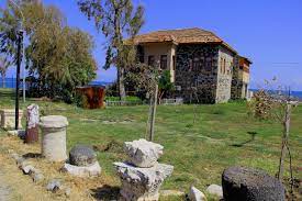 a beautiful house in yumurtalik plants tree trunk tree
