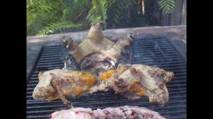 Maybe you would like to learn more about one of these? Amazing Bbq Turtle Meat Cooking Hd Youtube