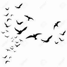 Bird picsart studio desktop editing, flying bird, animals, bird migration, android png. Silhouette Of A Flock Of Birds Black Contours Of Flying Birds Royalty Free Cliparts Vectors And Stock Illustration Image 83302351