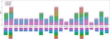 Image result for Lagenaria abyssinica