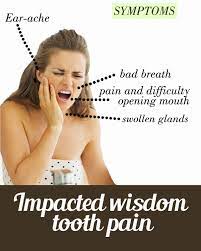 Pin On Immune
