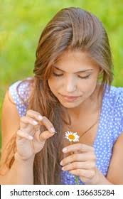 1+ Thousand Guess On Daisy Royalty-Free Images, Stock Photos & Pictures