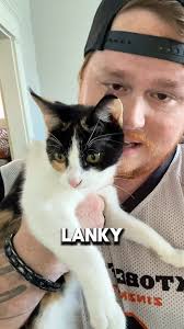 Fundraiser for Dylan Lunn (AlphaSnowDog) || May 4th 2019