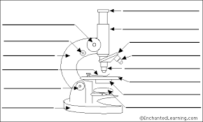 Label Microscope Diagram Microscope Parts Microscopic Secondary Science