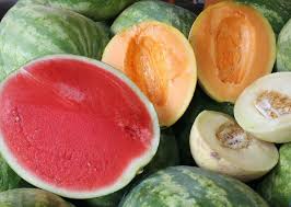 If the sound is more high pitched, then the watermelon is not ripe yet. Know Your Melons