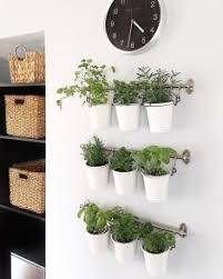 10 Earth Day Activities To Do With Your Family Society19 In 2020 Herb Garden In Kitchen Diy Herb Garden Indoor Herb Garden