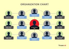 40 organizational chart templates word excel powerpoint