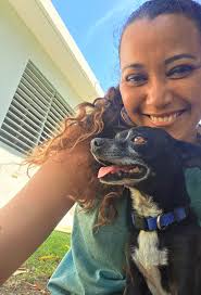 Buscando Chihuahu puppy puro para un cliente