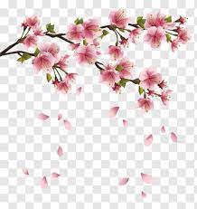 Petal Beautiful Pink Spring Branch With Falling Petals Pink Cherry Blossoms Illustrationb Fr Cherry Blossom Watercolor Cherry Blossom Png Flower Illustration