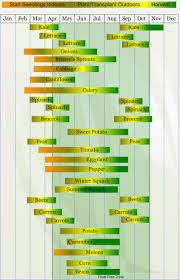 Zone 7 Planting Calendar