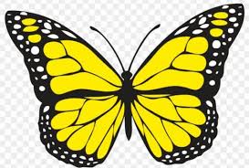 Sketsa kupu kupu yang indah sekali canon sketsa belajar. 1001 Keindahan Sketsa Gambar Kupu Kupu Terelengkap Dan Tekniknya