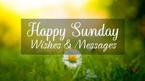 70 Happy Sunday Wishes Messages And Quotes Wishesmsg Going back to influence your beginning is never possible. 70 happy sunday wishes messages and