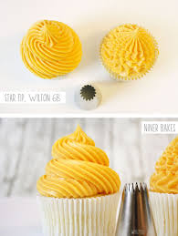 Cupcake Decorating Basic Icing Frosting Piping Techniques