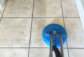 This place beats any big box store hands down. Photos Of Orlando Carpet Cleaning
