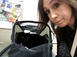 Two Cats With Cancer: Meet Sydney & Cheeks