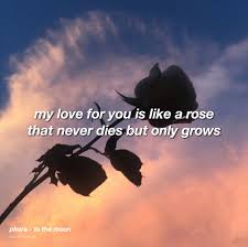 Rose Romance Quotes And Lyrics Image 6115067 On Favim Com Why does every love song. rose romance quotes and lyrics