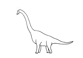 Draw the tail and the head. Easy Animals 2 Draw My Wordpress Blog