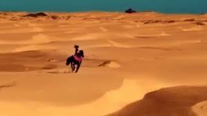 Перевод песни libertà — рейтинг: Al Bano Romina Power Watch Music Videos Or Download For Free At Music Tv Icu