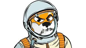 The shiba inu coin, launched less than a year ago and named after the dog breed, is a cryptocurrency that trades as shib and champions itself as the hsiao notes that a coin named the australian shepherd token, which trades under the name ass, and others called astro doge and doge elon. Shiba Inu Shib Is The New Dogecoin Killer How To Buy The Cryptocurrency In The Uk Uktn Uk Tech News