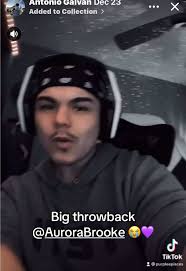 Bronwin Aurora Content House