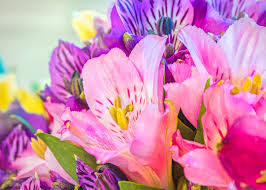 Check spelling or type a new query. Vancouver Florists For A Beautiful Valentine S Day Ak Timber Services